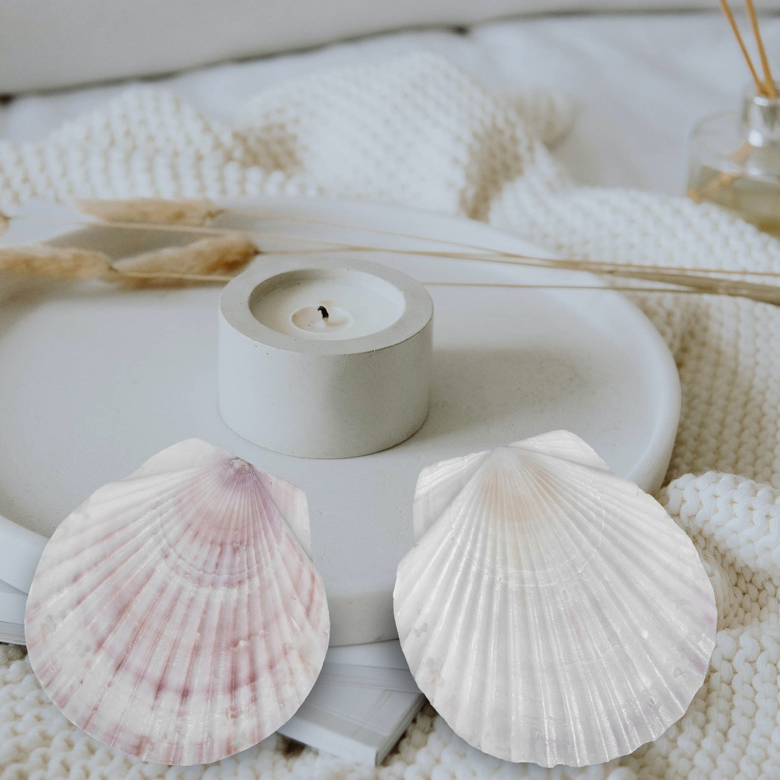 10 stuks natuurlijke schelpen  - Mom'S Home Cooking recensie en prijs