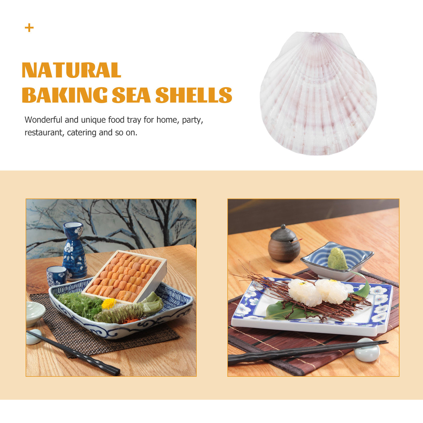 10 stuks natuurlijke schelpen  - Mom'S Home Cooking recensie en prijs