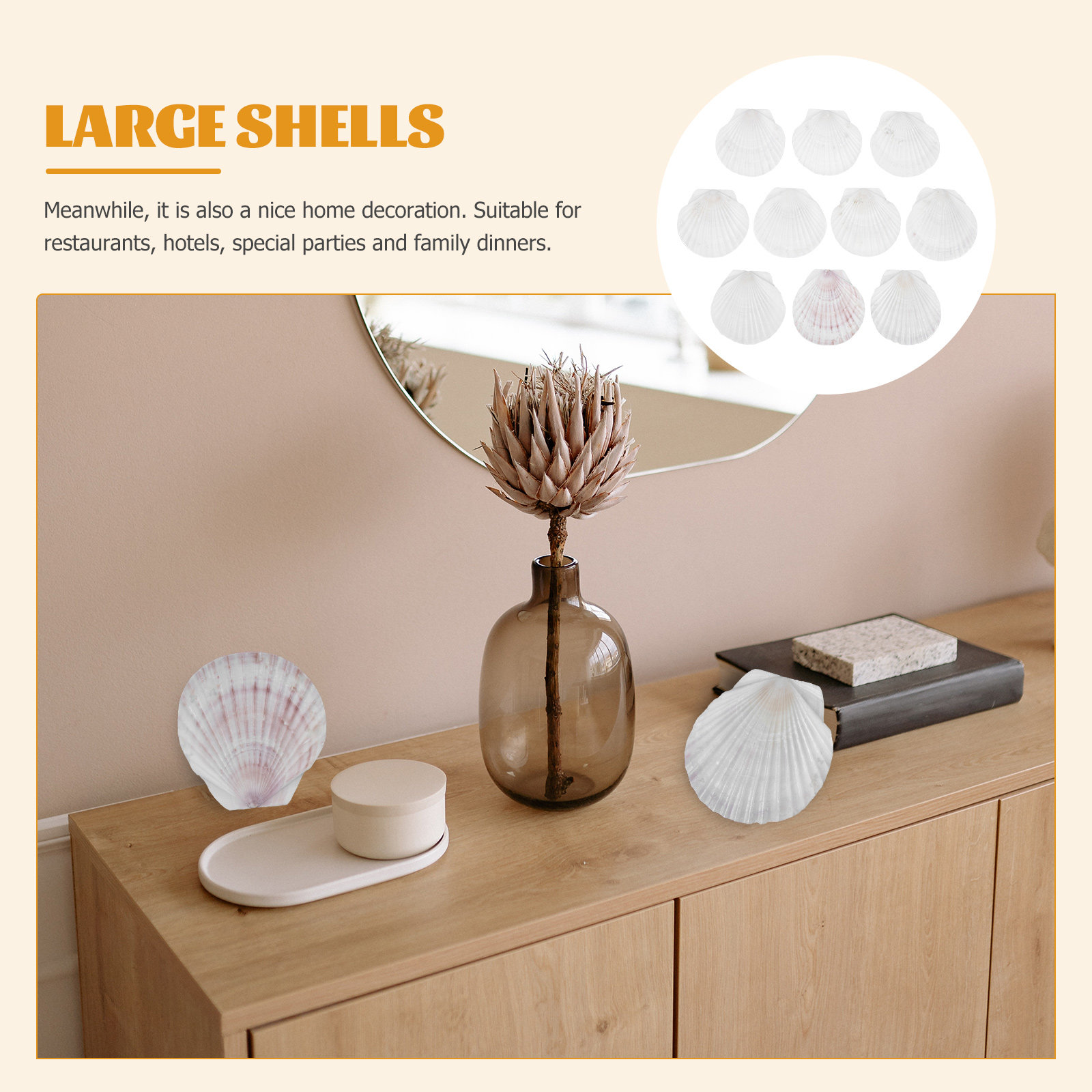 10 stuks natuurlijke schelpen  - Mom'S Home Cooking recensie en prijs